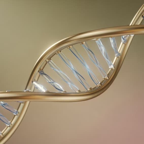 Lab and research context for the Global Hair Intelligence ecosystem.