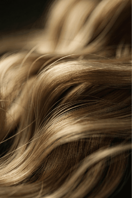 Follicle structure and scalp biology.